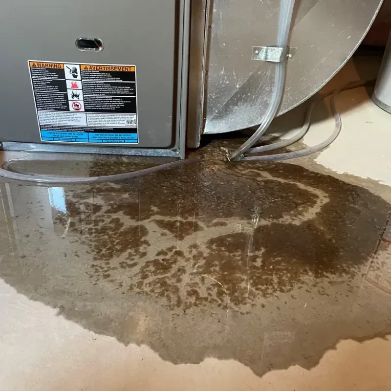 Appliance Leak Cleanup in Doe Valley, KY